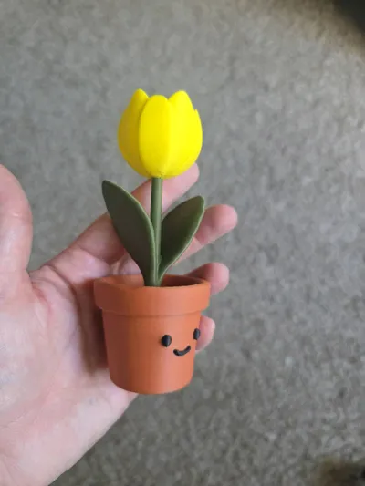https://makerworld.bblmw.com/makerworld/comment/20260512/1896930495/6c36e17a5ebbcb03.jpg
