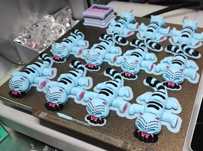 https://makerworld.bblmw.com/makerworld/comment/20260512/2100367102/8266b64f8aee298d.jpg