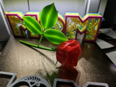 https://makerworld.bblmw.com/makerworld/comment/20260513/3200870924/87cd40f061f2d72f.jpg