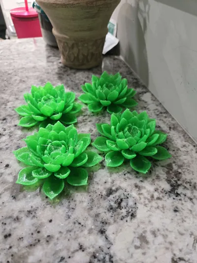 https://makerworld.bblmw.com/makerworld/comment/20260514/2954211606/256bb04e7060ece8.jpg