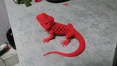 https://makerworld.bblmw.com/makerworld/comment/20260515/3967227301/bca7b8573e105aca.jpg