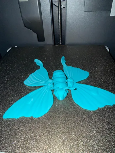 https://makerworld.bblmw.com/makerworld/comment/20260515/798975254/05ed1d10ef24db8b.jpg