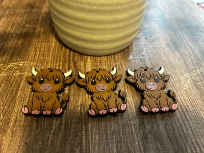 https://makerworld.bblmw.com/makerworld/comment/20260517/2160060609/cd6b9b156a16cba3.jpg