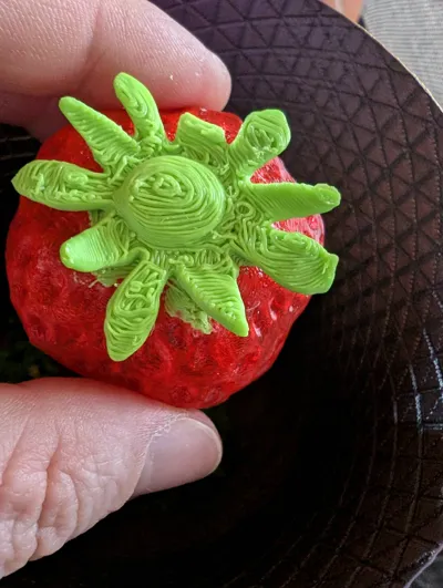 https://makerworld.bblmw.com/makerworld/comment/20260517/3200870924/a00c171ed8ffcd32.jpg