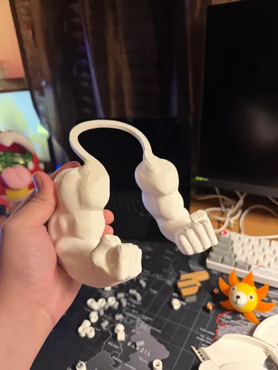 https://makerworld.bblmw.com/makerworld/comment/20260518/3062836044/08c789d5a0181528.jpg