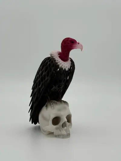 https://makerworld.bblmw.com/makerworld/comment/20260520/1832049050/1d8d081d961ba061.jpg