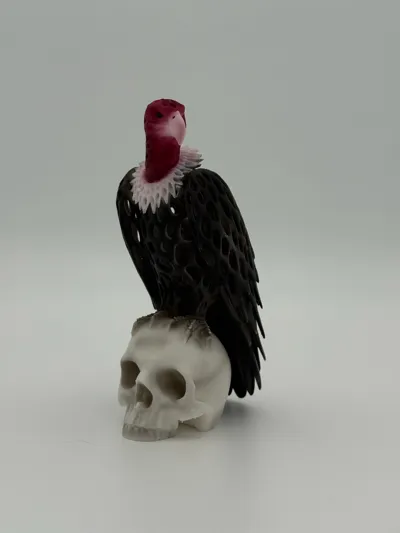 https://makerworld.bblmw.com/makerworld/comment/20260520/1832049050/364850d4d99492a4.jpg
