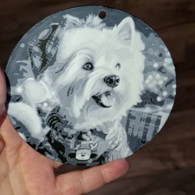 https://makerworld.bblmw.com/makerworld/comment/20260520/2229481470/b5e61c128747a850.jpg