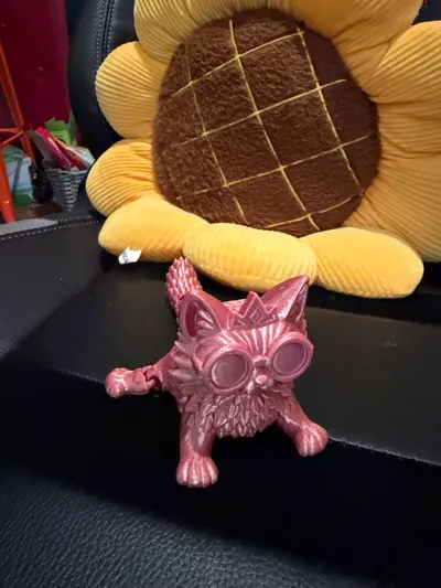 https://makerworld.bblmw.com/makerworld/comment/20260520/3059136641/6953404143f3a4a3.jpg