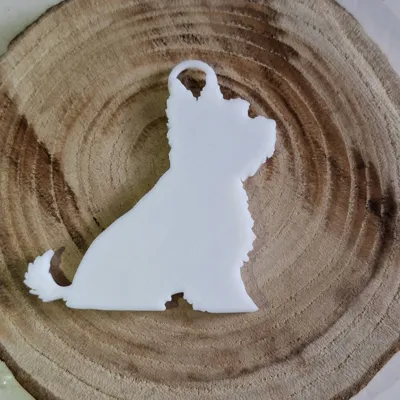 https://makerworld.bblmw.com/makerworld/comment/20260521/2229481470/58a3791997716419.jpg