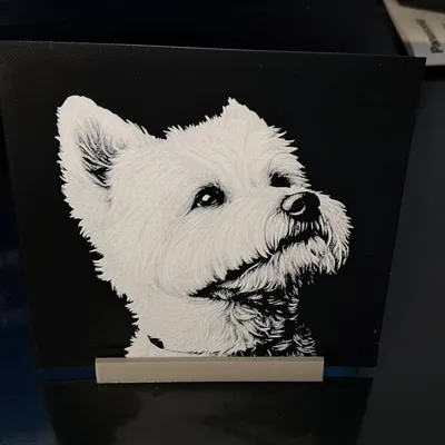 https://makerworld.bblmw.com/makerworld/comment/20260523/2229481470/9b9a9771636fe221.jpg