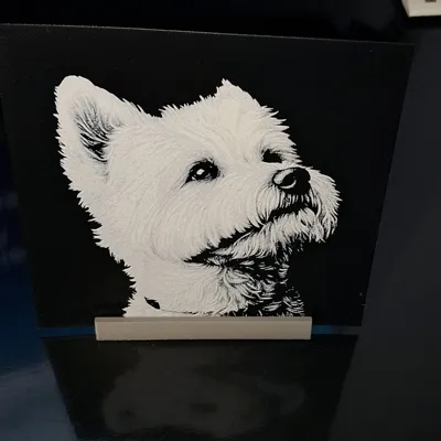 https://makerworld.bblmw.com/makerworld/comment/20260523/2229481470/fd5964d81fe74599.jpg