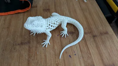 https://makerworld.bblmw.com/makerworld/comment/20260523/4289854931/b656e5beb1267b22.jpg