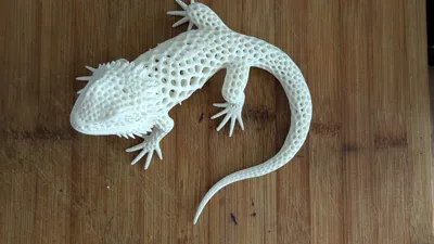 https://makerworld.bblmw.com/makerworld/comment/20260523/4289854931/cea1a1456ff14578.jpg