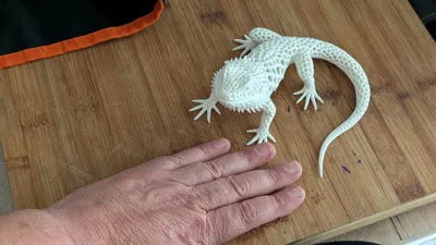 https://makerworld.bblmw.com/makerworld/comment/20260523/4289854931/ee57c4ad2dabe52b.jpg
