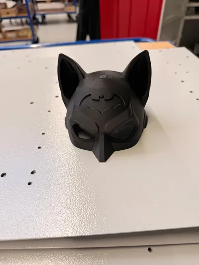 https://makerworld.bblmw.com/makerworld/comment/20260525/831660087/c37dd03e8a42ae87.jpg
