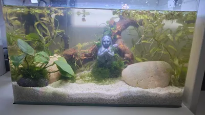 https://makerworld.bblmw.com/makerworld/comment/20260527/880264632/c885b5da59747cae.jpg