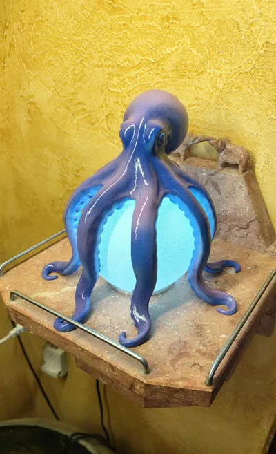 Octopus LED Table Lamp - Home - PLA - 3D printed product - фото 31
