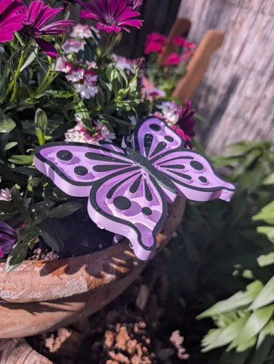 https://makerworld.bblmw.com/makerworld/comment/20260530/1492955549/b40b6ae4cc7745d2.jpg
