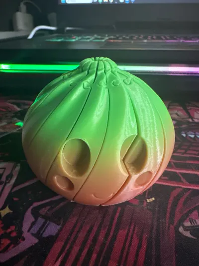 https://makerworld.bblmw.com/makerworld/comment/20260531/1846587588/8eebc03db5a551cd.jpg