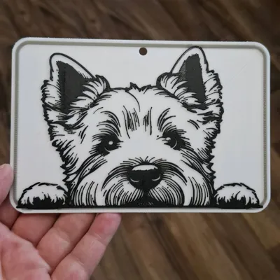 https://makerworld.bblmw.com/makerworld/comment/20260531/2229481470/40f661c119f29d92.jpg