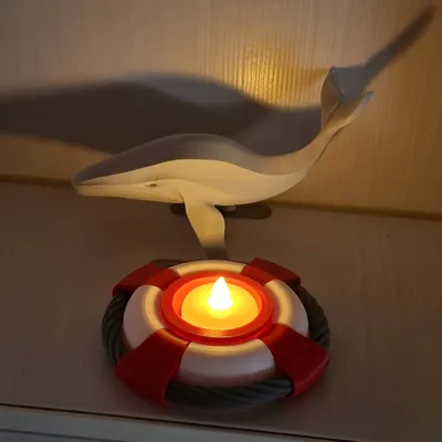 https://makerworld.bblmw.com/makerworld/comment/20260604/2229481470/d861036a0290f950.jpg