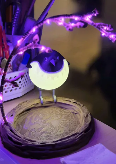 https://makerworld.bblmw.com/makerworld/comment/20260605/1223425928/6b2fd0fb0c11556d.jpg