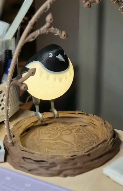 https://makerworld.bblmw.com/makerworld/comment/20260605/1223425928/884ef55270743063.jpg
