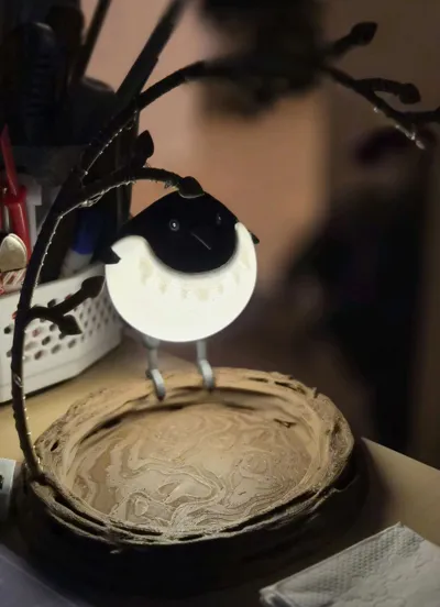 https://makerworld.bblmw.com/makerworld/comment/20260605/1223425928/d1818d1a8c8dcf07.jpg