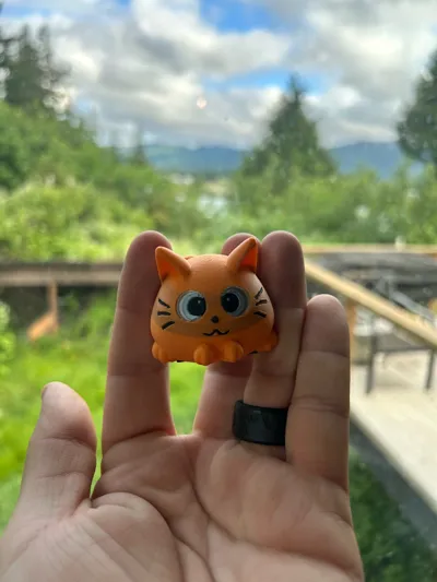 https://makerworld.bblmw.com/makerworld/comment/20260605/1835407849/8dd2fae510f3a547.jpg