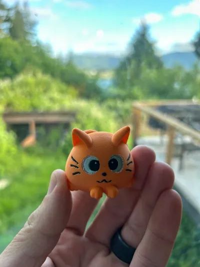https://makerworld.bblmw.com/makerworld/comment/20260605/1835407849/ab1823ebed836601.jpg