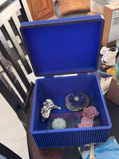 https://makerworld.bblmw.com/makerworld/comment/20260606/1691323997/e8fb814cf899a6ea.jpg