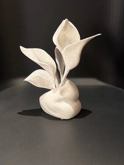 https://makerworld.bblmw.com/makerworld/comment/20260606/3870365815/cca1123a403d0def.jpg