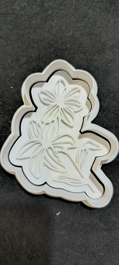 https://makerworld.bblmw.com/makerworld/comment/20260607/4289639553/8850564e2f8622c6.jpg
