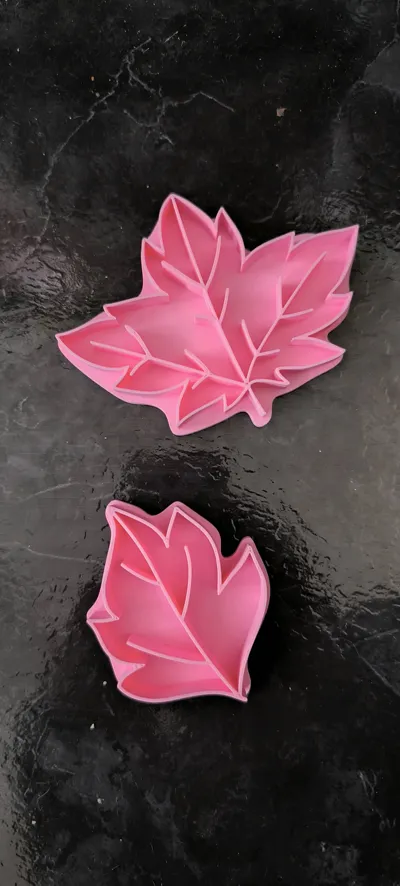 https://makerworld.bblmw.com/makerworld/comment/20260607/4289639553/f30b2a9daf3cc011.jpg