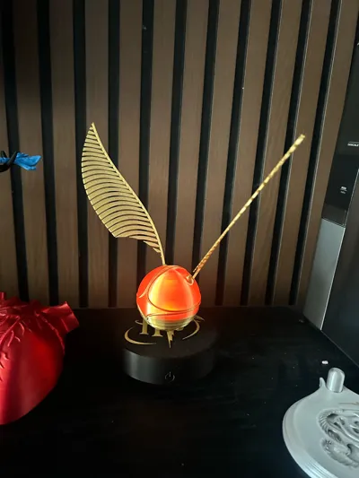 https://makerworld.bblmw.com/makerworld/comment/20260613/1835407849/f8903366aa0b63e8.jpg