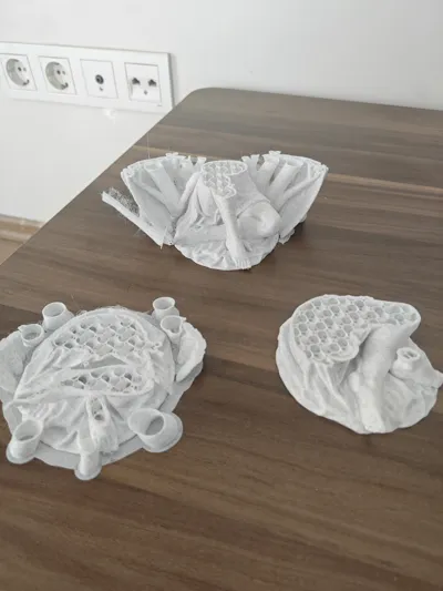 https://makerworld.bblmw.com/makerworld/comment/20260616/1128712176/a162b67717a42794.jpg