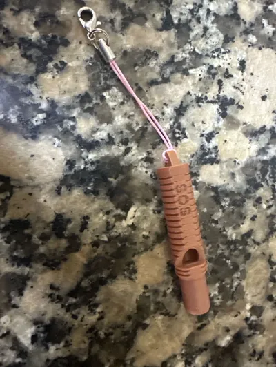 https://makerworld.bblmw.com/makerworld/comment/20260625/1846587588/bffe651245e8d75e.jpg