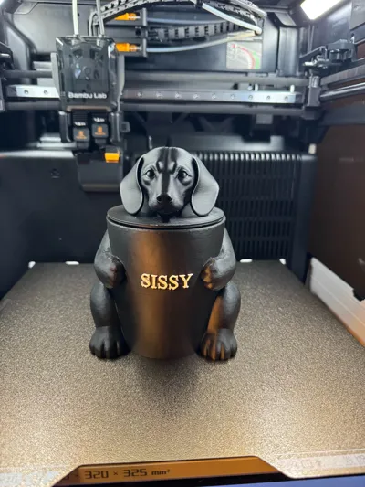 https://makerworld.bblmw.com/makerworld/comment/20260627/2117085185/9692b846c6f6f08a.jpg