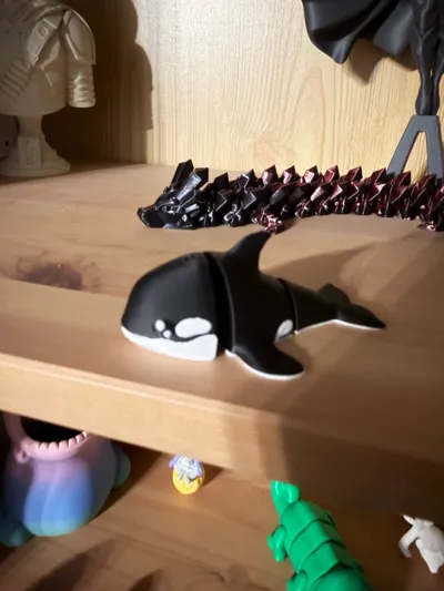 https://makerworld.bblmw.com/makerworld/comment/20260628/3748458770/9e55bc96945aa507.jpg