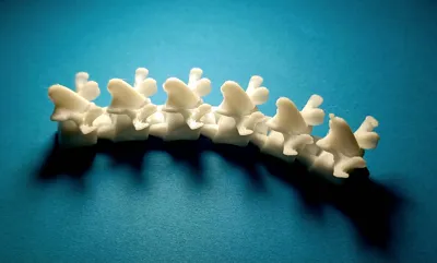 https://makerworld.bblmw.com/makerworld/comment/20260629/1340640132/f7d6b031d6514a92.jpg