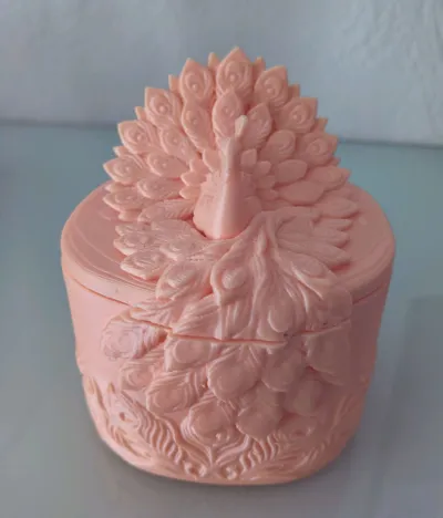 https://makerworld.bblmw.com/makerworld/comment/20260629/920426599/58ccb463792e64f5.jpg