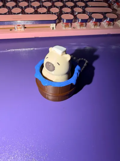 https://makerworld.bblmw.com/makerworld/comment/20260630/419622260/a4b0723b5ac48b64.jpg