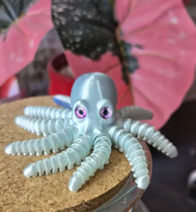 https://makerworld.bblmw.com/makerworld/comment/20260702/1223425928/9a20f42785c8a013.jpg