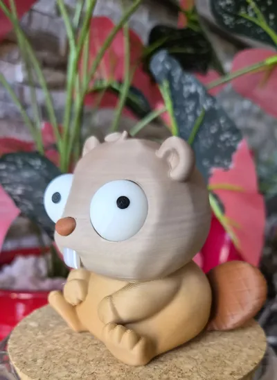 https://makerworld.bblmw.com/makerworld/comment/20260705/1223425928/b029b6b786620ccf.jpg