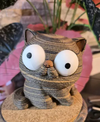 https://makerworld.bblmw.com/makerworld/comment/20260709/1223425928/9f99a106c64acab4.jpg