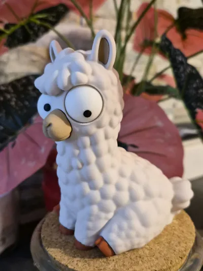 https://makerworld.bblmw.com/makerworld/comment/20260709/1223425928/c86de1ac79dc9f91.jpg