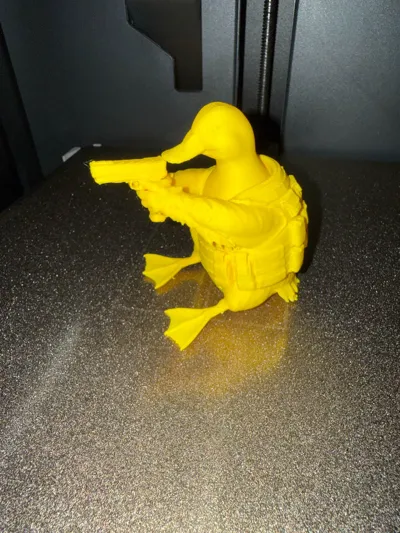 https://makerworld.bblmw.com/makerworld/comment/20260710/798975254/e9149f33a809b0f6.jpg