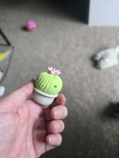 https://makerworld.bblmw.com/makerworld/comment/20260713/1896930495/b64ca9fcf7e21397.jpg