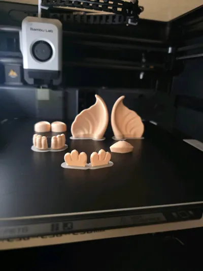 https://makerworld.bblmw.com/makerworld/comment/20260713/1896930495/e44214f06e9aa982.jpg